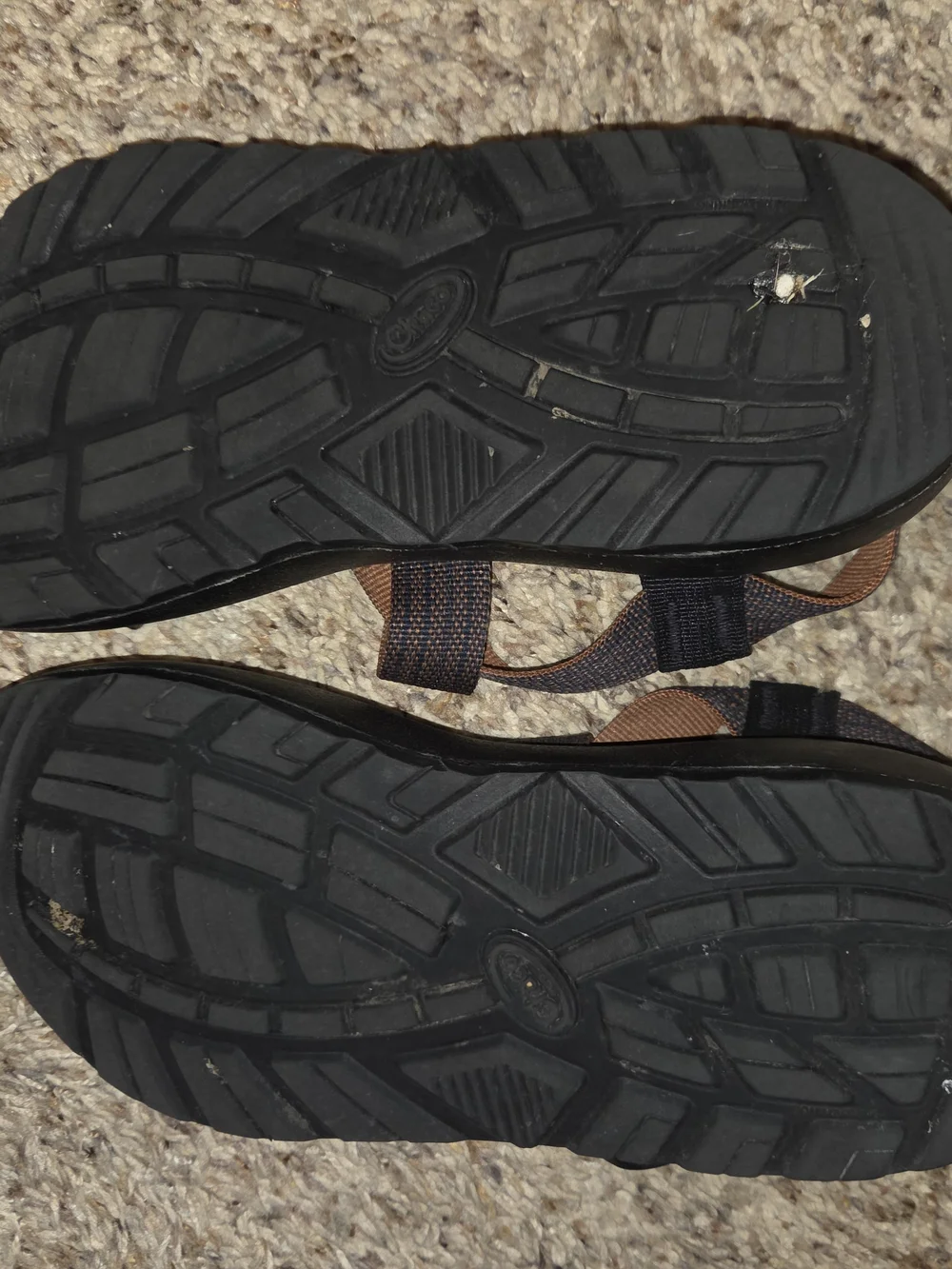Mens Chaco Z1 Sandals - Size 9